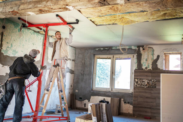 Best Eco-Friendly or Green Insulation Solutions  in Homestead Meadows South, TX