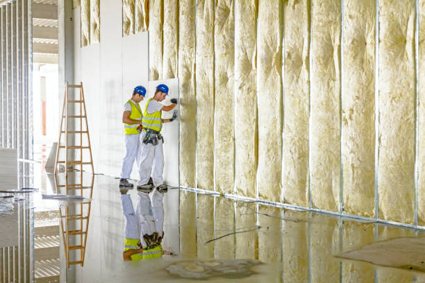 Professional Insulation in Homestead Meadows South, TX